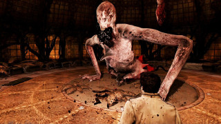 Man giant spider crawling body - the middle of the room free wallpaper