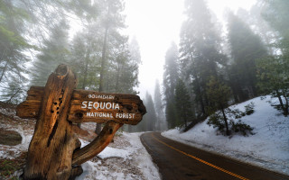 Wooden sign road woods snow - charles martin free wallpaper