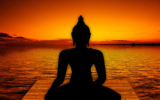 Person sitting dock sunset water - a dock in front free wallpaper