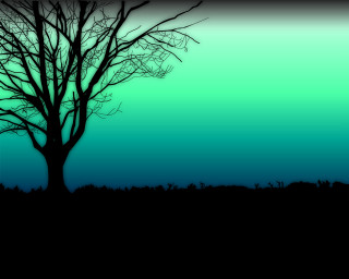 Tree no leaves field blue - video art free wallpaper
