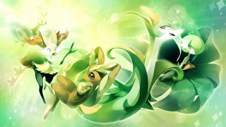 Green yellow cat bird head - a white cat free wallpaper
