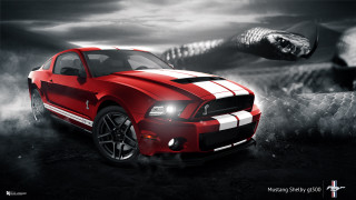 Red mustang car white stripe - the hood free wallpaper for desktop