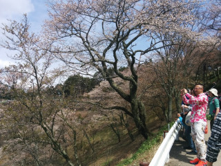 People bridge river trees blossoms - a river and trees free wallpaper