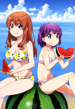 Women bikinis watermelon slice sitting - an album cover free wallpaper