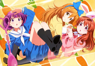 Anime girls bed drink cat - their hand and a cat free wallpaper