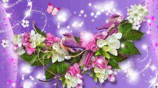 Purple background flowers birds butterfly - cindy wright free wallpaper