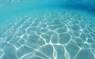 Blue ocean clear water fish - a few fish free wallpaper