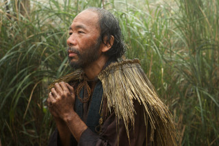 Man large headdress field grass - primitivism free wallpaper