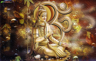Buddha rock bubbles tree sun - a rock free wallpaper