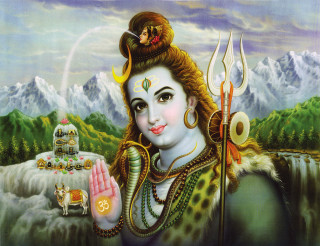 Woman holding snake pot food - an oil free wallpaper