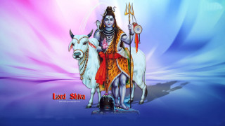 Shivgurt bull goat blue pink - background free wallpaper for desktop