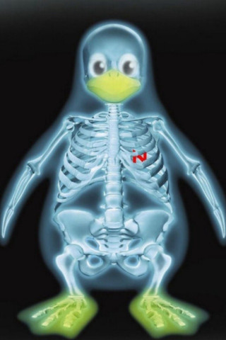 Skeleton penguin yellow beak black - a yellow beak free wallpaper