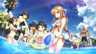 Pool party people ball water - a ball free wallpaper