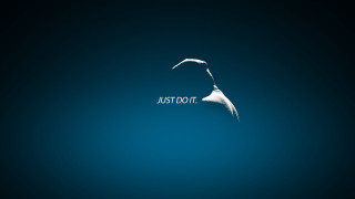 Bird flying justus above another - free minimalism wallpaper for desktop