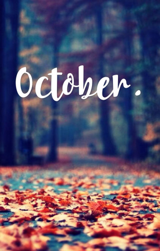 Leaf covered path october bench - ayo free wallpaper