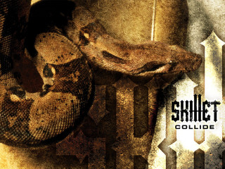 Snake wall law firm logo - a wall free wallpaper
