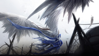 White birds blue wings grass - blue wing free wallpaper