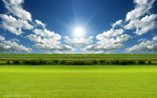 Sunlit field grass trees blue 2 - a field of grass below free wallpaper