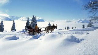Sleigh ride horses snow mountains - the snow free wallpaper