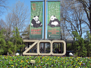 Banners pole grass fence trees - emperor huizong of song free wallpaper
