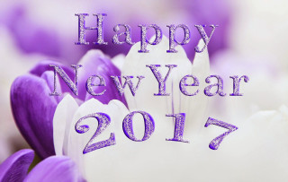 Purple white flower happy new - elizabeth durack free wallpaper