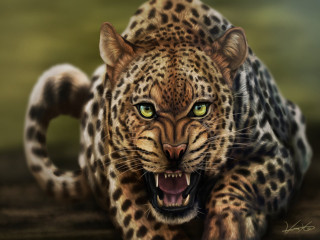 Leopard green eyes snarling face - a digital painting free wallpaper