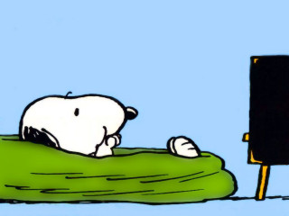 Cartoon dog bean bag sign - a cartoon of a dog free wallpaper