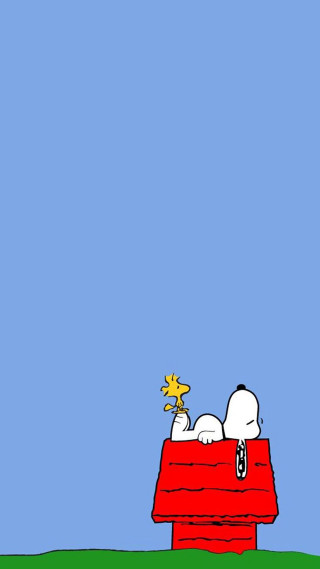 Snoopy dog red box star - charles schulz free wallpaper