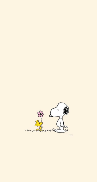 Cartoon character dog grass flower - charles schulz free wallpaper