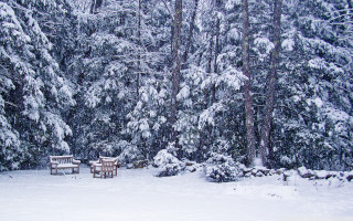 Snowy forest benches trees snowflakes - american romanticism free wallpaper