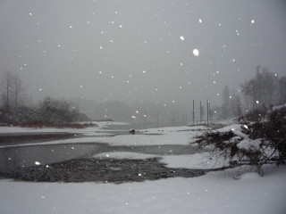 Snowy day pond trees background - a few snow free wallpaper