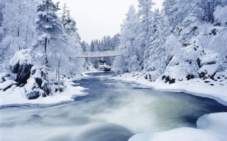 River forest snow trees bridge - covered ground free wallpaper