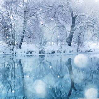 Snowy lake trees snowflakes water 2 - a matte painting free wallpaper