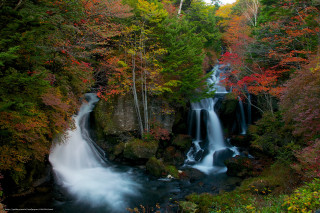 Waterfall forest fall foliage stream - a waterfall in a forest free wallpaper