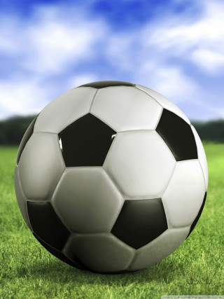 Soccer ball green field blue - free sports wallpaper