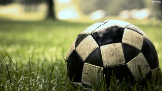 Soccer ball grass park trees - a park area free wallpaper
