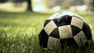 Soccer ball grass park trees 2 - a park area free wallpaper