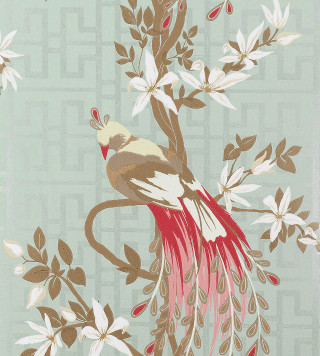 Bird red tail branch white - a branch of a tree free wallpaper