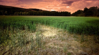 Field rocks grass red sky - andy goldsworthy free wallpaper