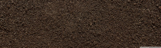 Brown carpet grass white border - carpoforo tencalla free wallpaper