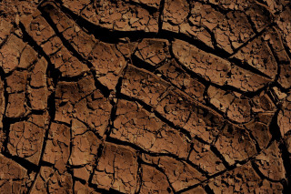 Brown surface cracks close up - a white border free wallpaper