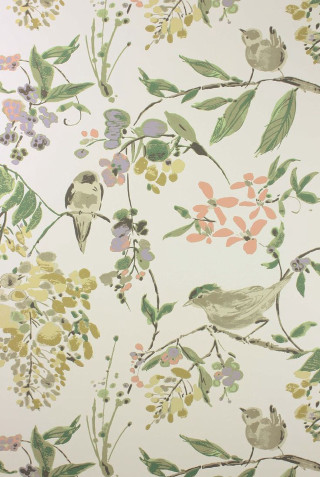 Bird flowers branch leaves wallpaper - free bird wallpaper