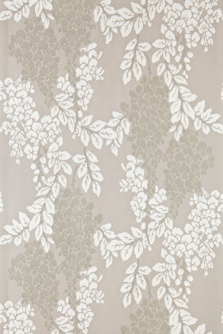 White gray wallpaper white flowers - white flower free wallpaper