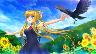 Girl dress bird arm sunflower - a sky free wallpaper