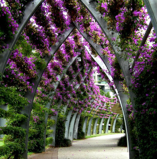 Walkway purple flowers bench middle - ecological art free wallpaper