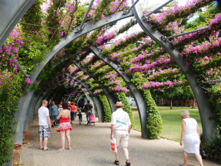 Flower garden park people walking - elizabeth durack free wallpaper