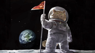 Cat astronaut flag moon planet 2 - the moon next free wallpaper