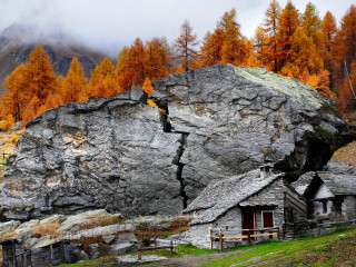 Rocky mountain house trees orange - side and trees free wallpaper