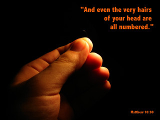 Person holding cigarette quote on - a person holding free wallpaper