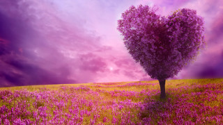 Tree field heart shaped trunk - betye saar free wallpaper